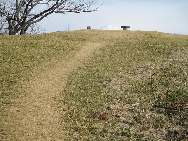画像2: 来年冬の企画素材を探して静岡県の山を歩いてみました!