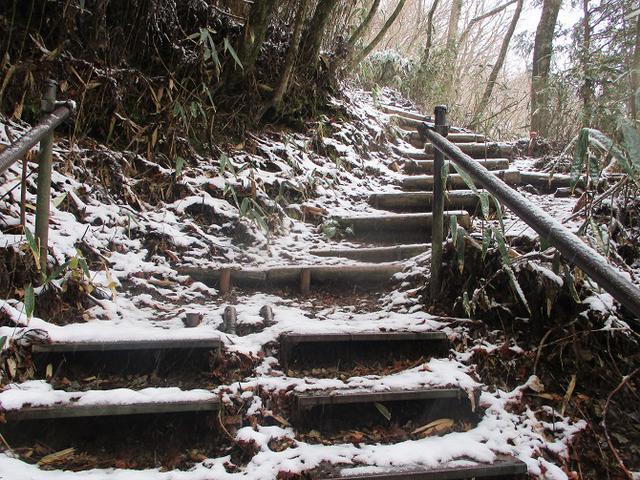 画像8: 来年冬の企画素材を探して静岡県の山を歩いてみました!