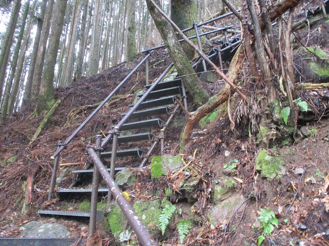 画像7: 来年冬の企画素材を探して静岡県の山を歩いてみました!