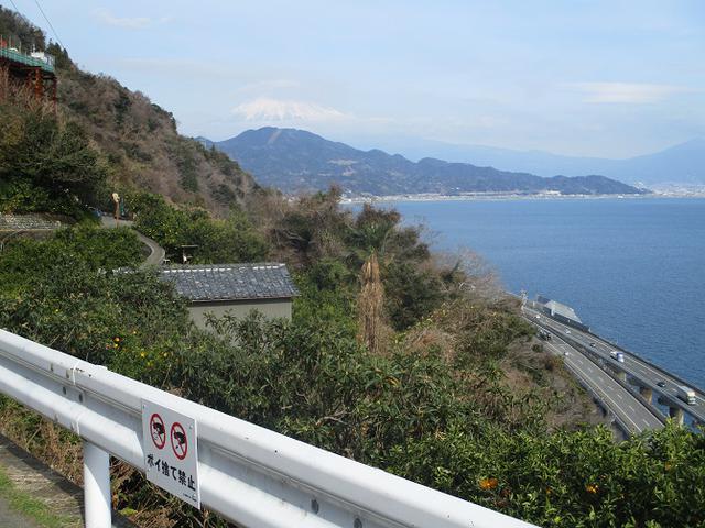 画像11: 来年冬の企画素材を探して静岡県の山を歩いてみました!