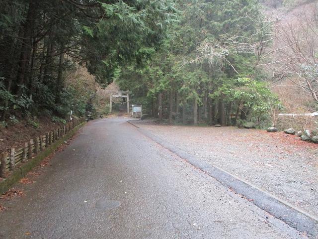 画像1: 来年冬の企画素材を探して静岡県の山を歩いてみました!
