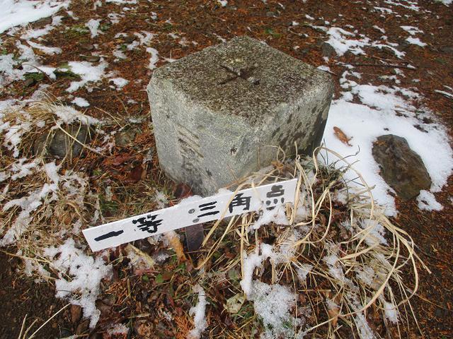 画像12: 来年冬の企画素材を探して静岡県の山を歩いてみました!