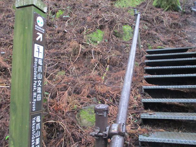 画像6: 来年冬の企画素材を探して静岡県の山を歩いてみました!