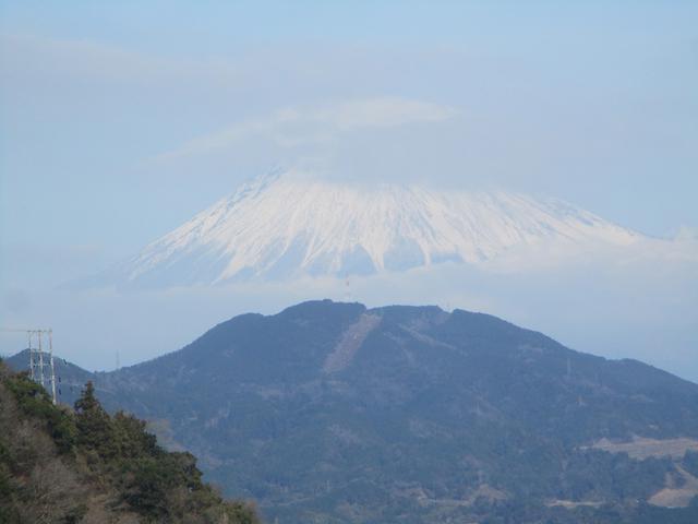 画像12: 来年冬の企画素材を探して静岡県の山を歩いてみました!