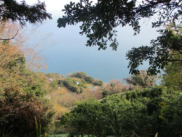 画像9: 来年冬の企画素材を探して静岡県の山を歩いてみました!
