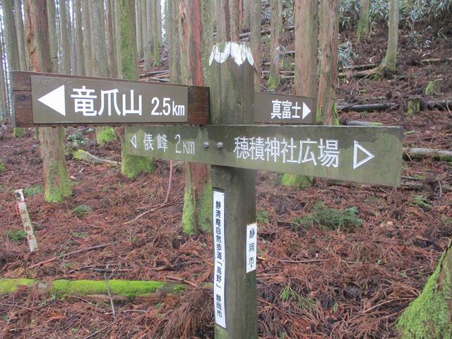 画像13: 来年冬の企画素材を探して静岡県の山を歩いてみました!