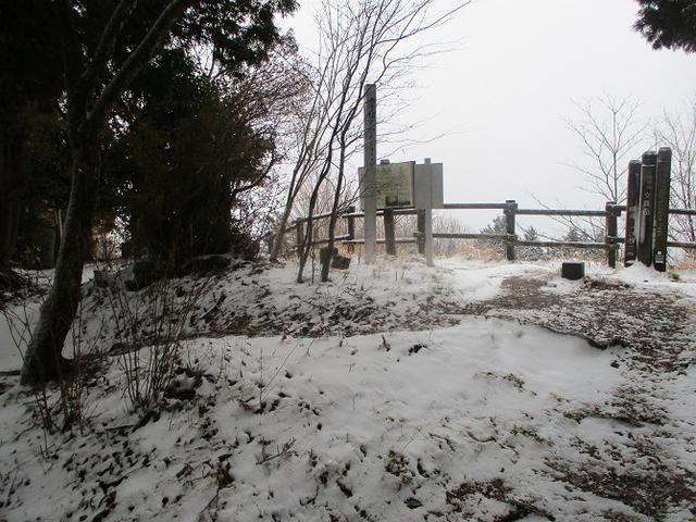 画像11: 来年冬の企画素材を探して静岡県の山を歩いてみました!