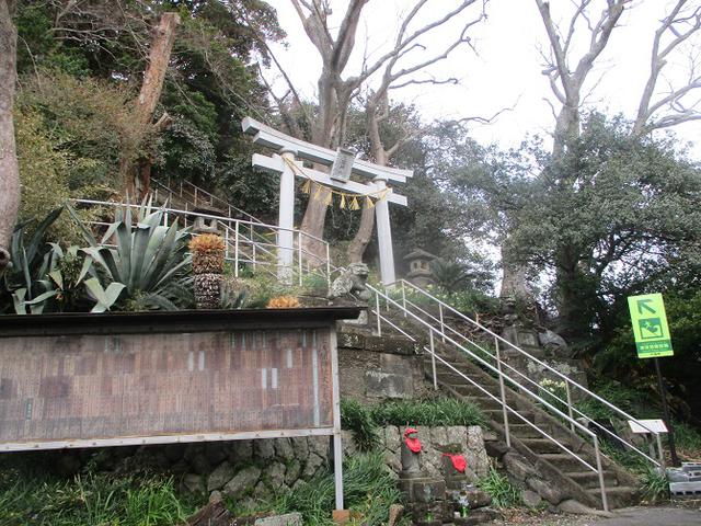 画像2: 来年冬の企画素材を探して静岡県の山を歩いてみました!