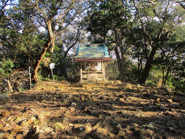 画像6: 来年冬の企画素材を探して静岡県の山を歩いてみました!