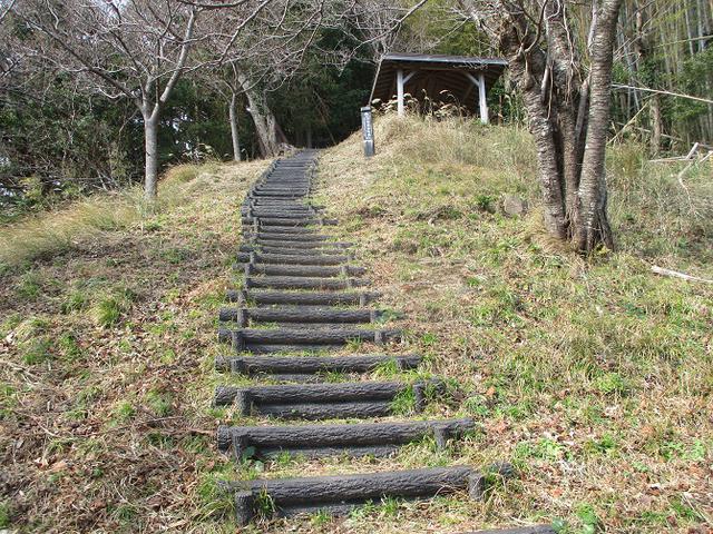 画像13: 来年冬の企画素材を探して静岡県の山を歩いてみました!
