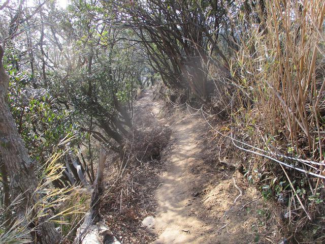 画像4: 来年冬の企画素材を探して静岡県の山を歩いてみました!