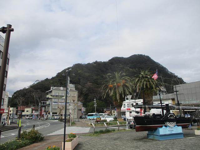 画像1: 来年冬の企画素材を探して静岡県の山を歩いてみました!