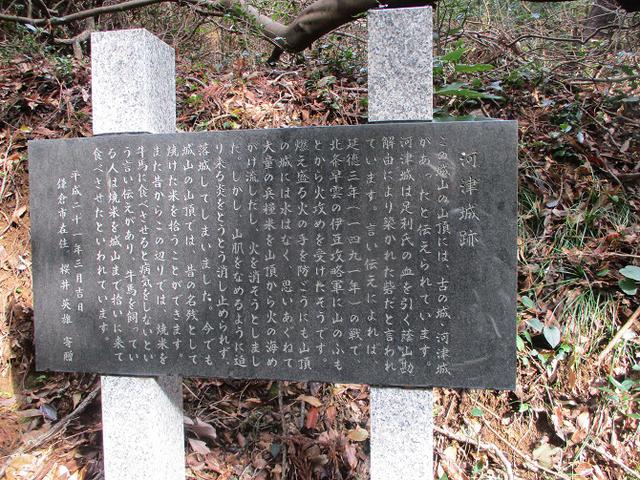 画像11: 来年冬の企画素材を探して静岡県の山を歩いてみました!