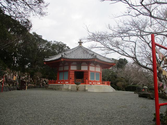 画像9: 来年冬の企画素材を探して静岡県の山を歩いてみました!