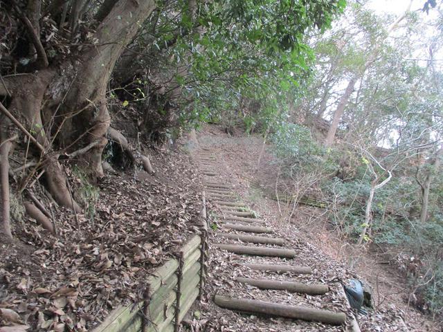画像3: 2月の山旅会 高麗山 ツアーの下見にいってきました!