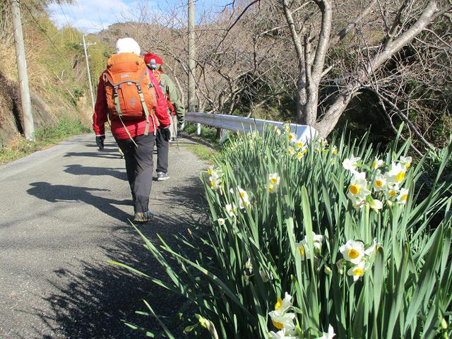 画像1: 2020年新しい年となりまして、本年もどうぞよろしくお願いします!