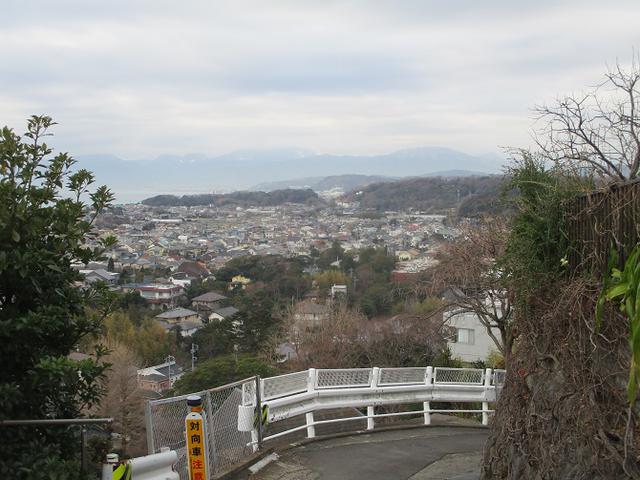 画像12: 2月の山旅会 高麗山 ツアーの下見にいってきました!