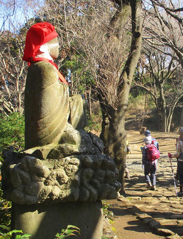 画像12: 1月21日に岡田ガイドのコースで 丹沢白山 へ行ってきました♪