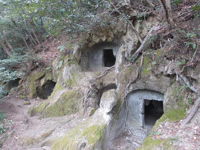 画像10: 2月の山旅会 高麗山 ツアーの下見にいってきました!