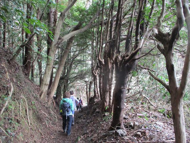 画像11: 1月24日に山旅会 満観峰 ツアーに行ってきました!