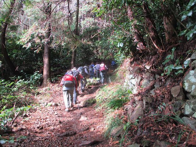 画像5: 1月24日に山旅会 満観峰 ツアーに行ってきました!