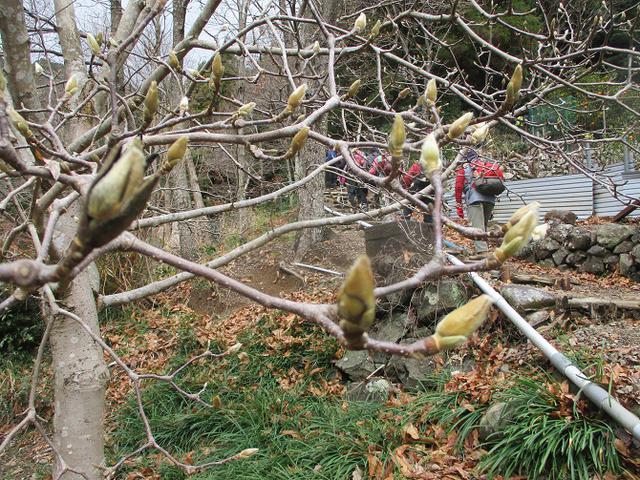 画像4: 1月24日に山旅会 満観峰 ツアーに行ってきました!