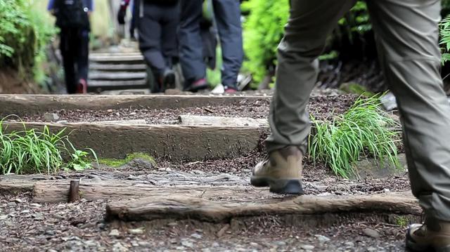 画像: 登山 レベル一覧