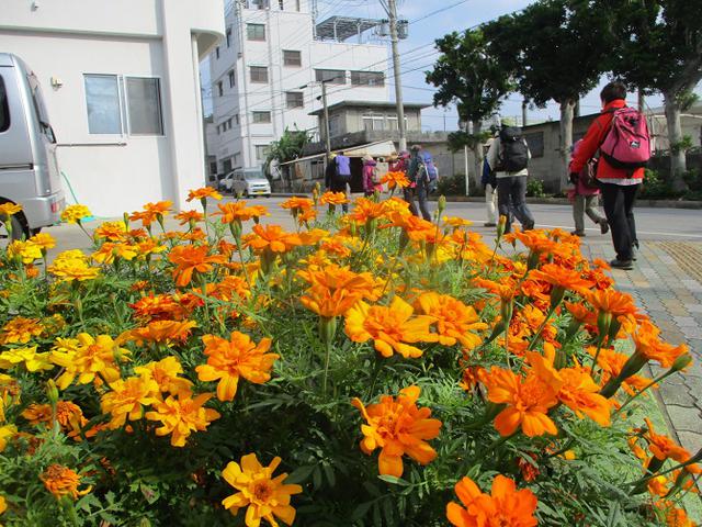 画像9: 岡田ガイドのコースで、1月29日から31日に沖縄へ行って来ました♪