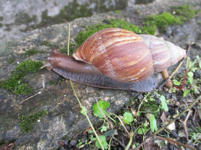 画像11: 岡田ガイドのコースで1月29日から31日に 沖縄 へ行って来ました♪