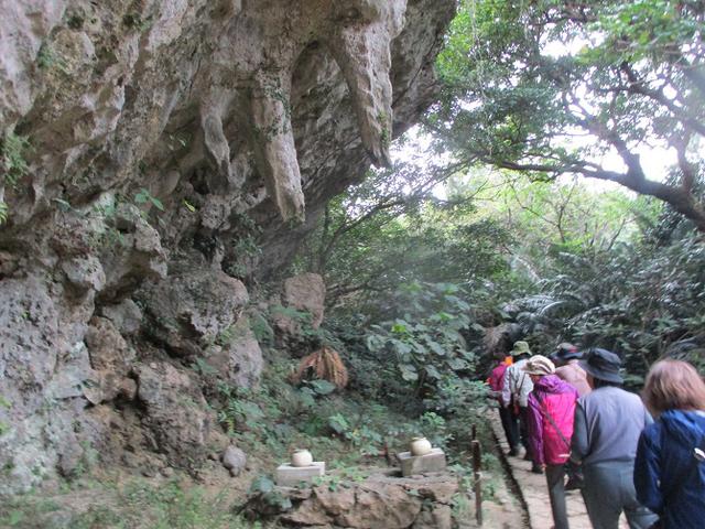 画像3: 岡田ガイドのコースで、1月29日から31日に沖縄へ行って来ました♪