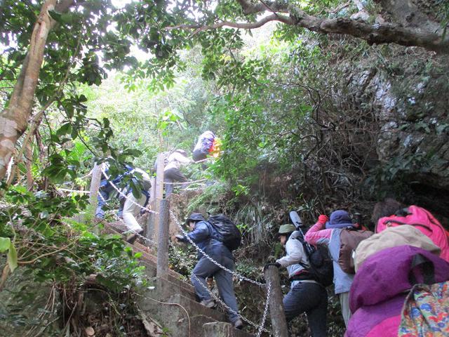 画像3: 岡田ガイドのコースで、1月29日から31日に沖縄へ行って来ました♪