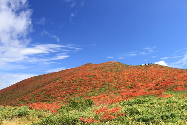 画像: 紅葉時期の栗駒山