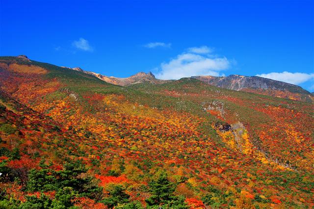 画像: 紅葉時期の安達太良山