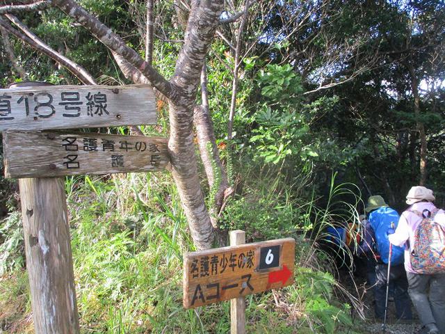 画像7: 1月29日~31日で山旅会 沖縄 ツアーに行ってきました!