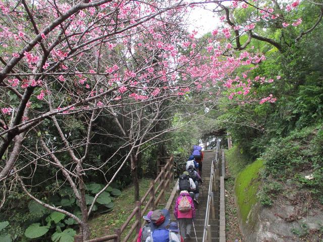 画像4: 1月29日~31日で山旅会 沖縄 ツアーに行ってきました!