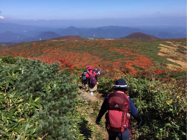 画像: 栗駒山の絶景紅葉を見ながらの山歩きは格別!