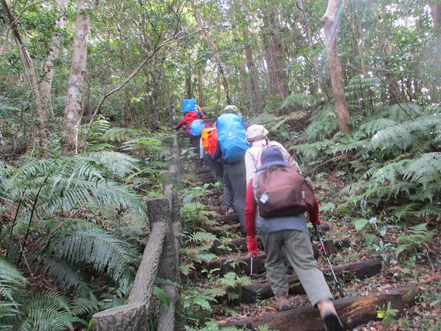 画像8: 1月29日~31日で山旅会 沖縄 ツアーに行ってきました!