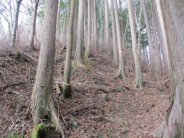 画像6: 来年冬の企画素材を探して山梨県南部の山 貫ヶ岳 を歩いてみました!