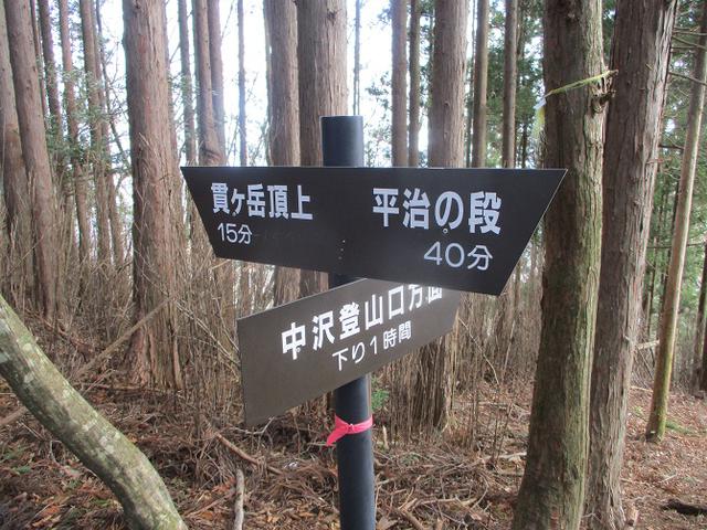 画像7: 来年冬の企画素材を探して山梨県南部の山 貫ヶ岳 を歩いてみました!