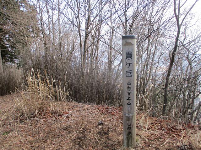 画像9: 来年冬の企画素材を探して山梨県南部の山 貫ヶ岳 を歩いてみました!