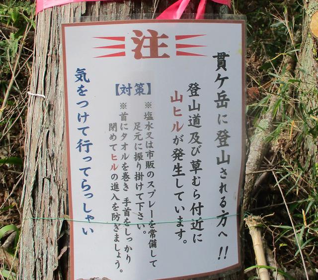 画像3: 来年冬の企画素材を探して山梨県南部の山 貫ヶ岳 を歩いてみました!