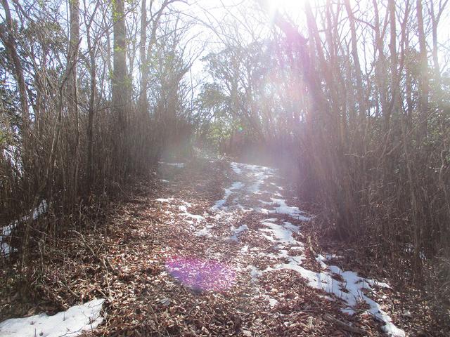 画像10: 来年冬の企画素材を探して山梨県南部の山 貫ヶ岳 を歩いてみました!