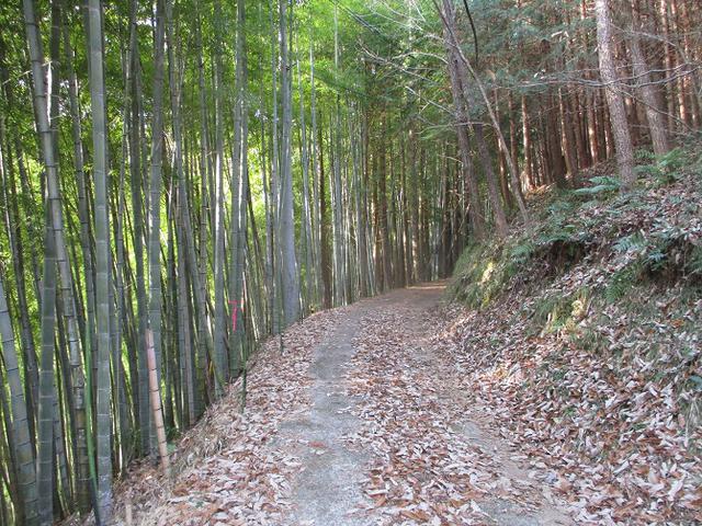 画像2: 来年冬の企画素材を探して山梨県南部の山 貫ヶ岳 を歩いてみました!