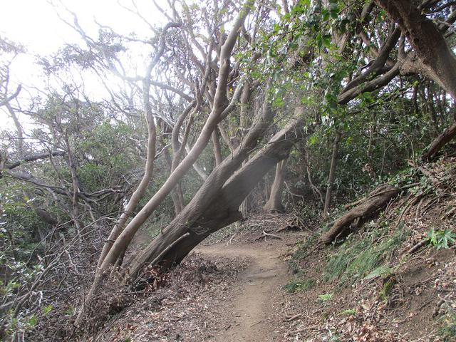 画像11: 2月の山旅会 三浦富士 の下見に行ってきました!