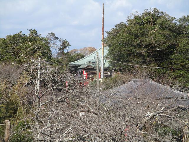 画像9: 2月の山旅会 三浦富士 の下見に行ってきました!