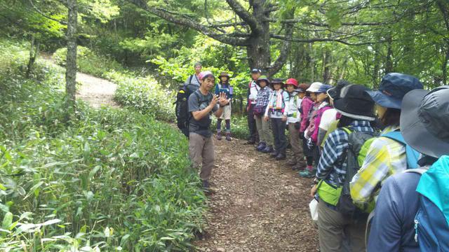 画像: ガイドが歩き方や山の注意点などをレクチャーしてくれます