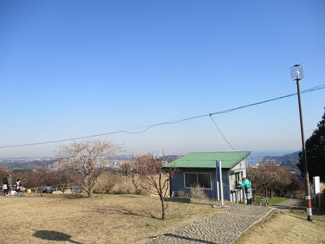 画像1: 2月8日に山旅会 田浦から乳頭山・観音塚 ツアーに行ってきました!
