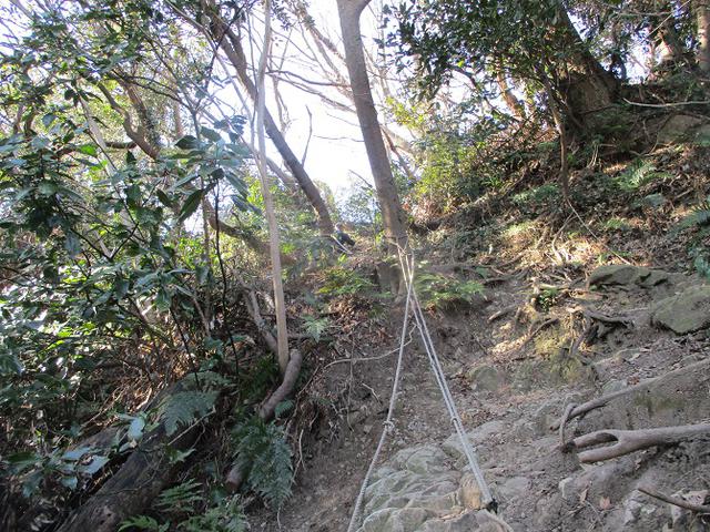 画像5: 2月8日に山旅会 田浦から乳頭山・観音塚 ツアーに行ってきました!