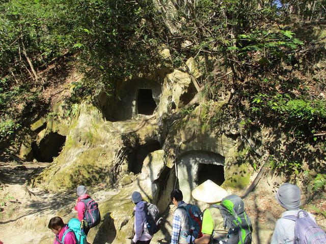 画像8: 2月10日に山旅会 高麗山 ツアーに行ってきました!