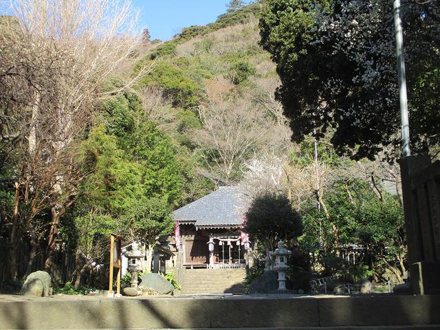 画像1: 2月10日に山旅会 高麗山 ツアーに行ってきました!